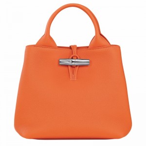 Longchamp Le Roseau S Handbag - Leather Orange USA | 10273HFP017