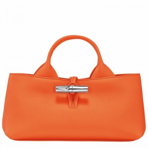 Longchamp Le Roseau S Handbag - Leather Orange USA | 10280HFP017