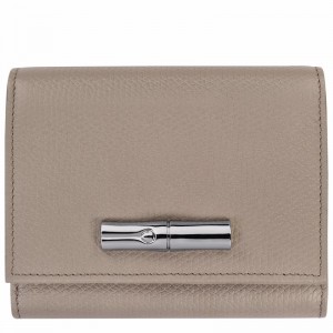 Longchamp Le Roseau Wallet - Leather Grey USA | 30021HFP266