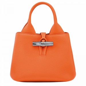 Longchamp Le Roseau XS Handbag - Leather Orange USA | 10278HFP017