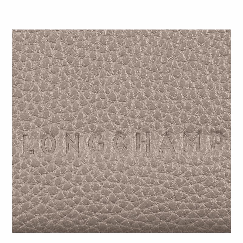 Longchamp Le FOULONNÉ Cardholder - Leather Grey USA | L3218021P55-