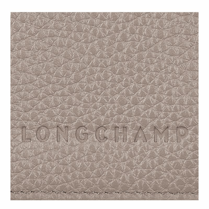 Longchamp Le FOULONNÉ Passport cover - Leather Grey USA | L3416021P55-