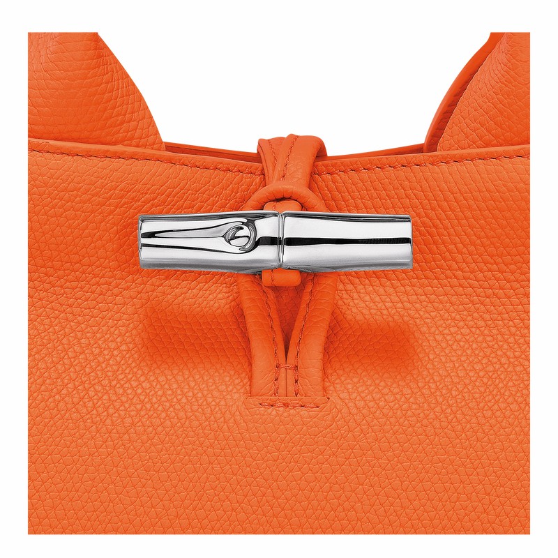 Longchamp Le Roseau S Handbag - Leather Orange USA | 10280HFP017